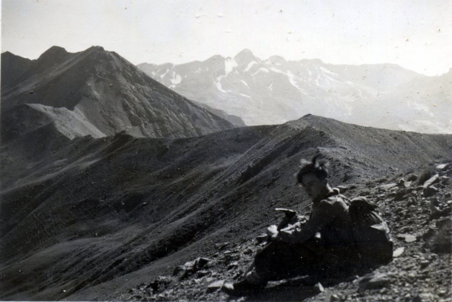 1937 - Trois vchs: Michel