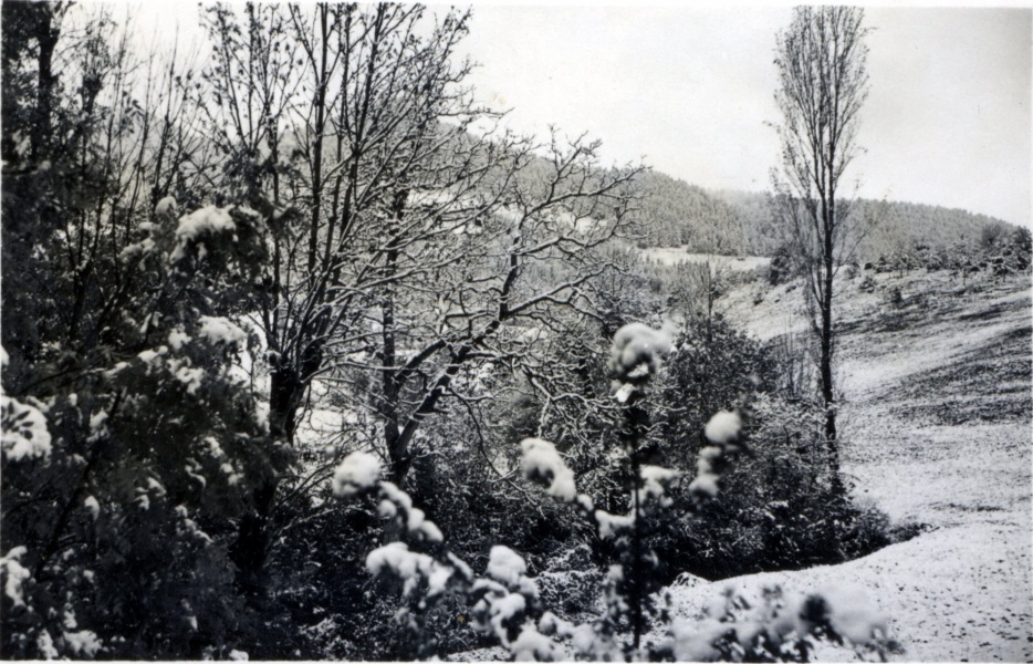 Toussaint 1938