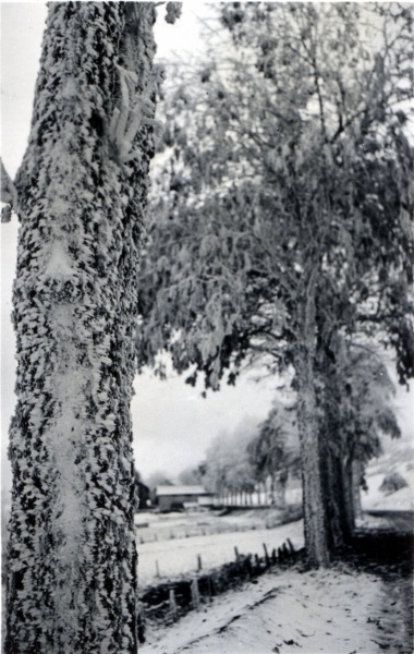 Toussaint 1938
