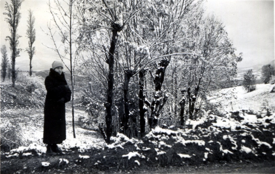 Toussaint 1938 - Genevive