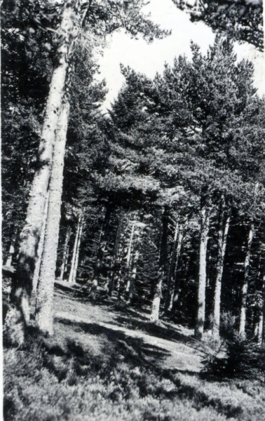 1939 - environs de La Louvesc