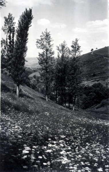 1939 - environs de La Louvesc