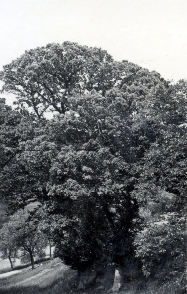 1939 - environs de La Louvesc
