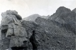1937 - Trois vchs: Michel