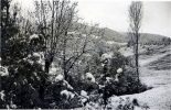 Toussaint 1938