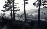 1939 - environs de La Louvesc
