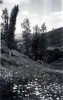 1939 - environs de La Louvesc