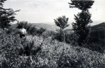 1939 - environs de La Louvesc