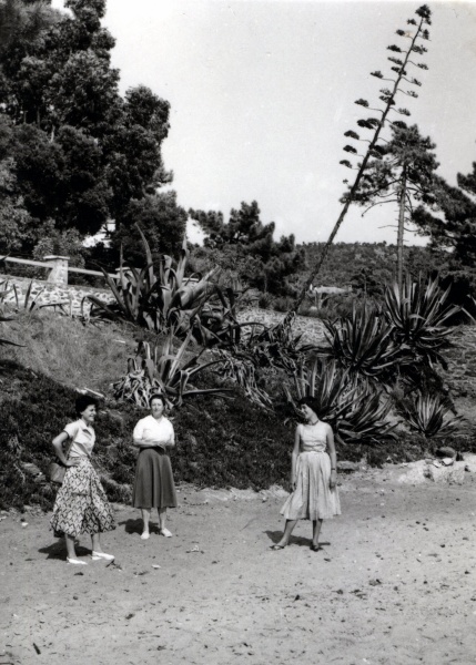 St Cyr sur mer : Celia Shopland, Genevive, Jacqueline