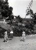 St Cyr sur mer : Celia Shopland, Genevive, Jacqueline