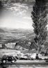 Le Trives, 23 septembre 1950