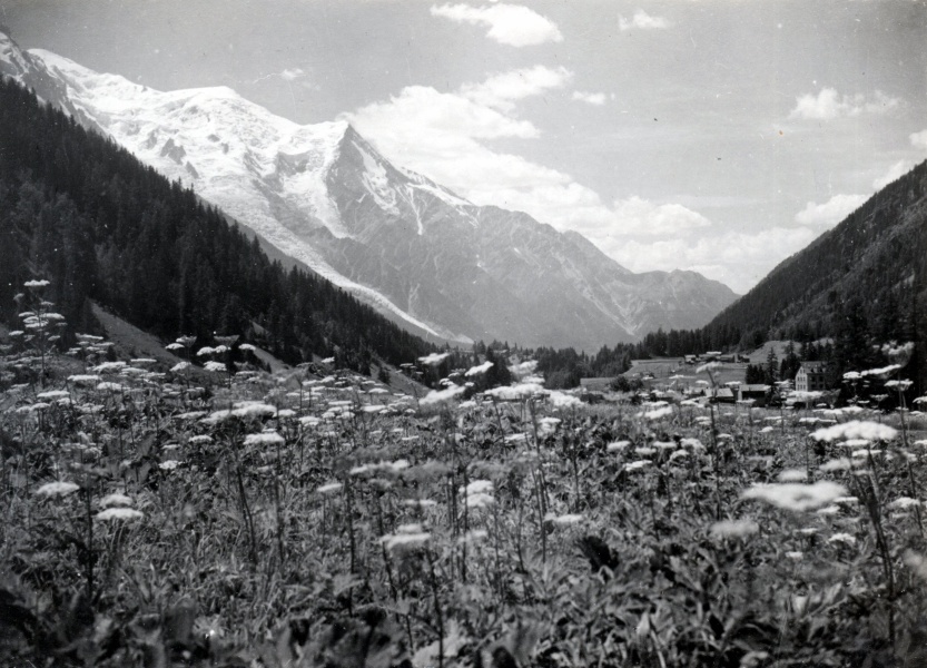 Vue de la maison de Madeleine : Mont blanc, Aiguille et dme du Goter