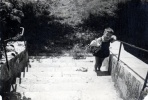 Narbonne, 1947 : Dominique
