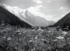 Vue de la maison de Madeleine : Mont blanc, Aiguille et dme du Goter