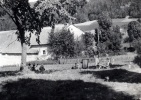 Maudre, la Bourrire, aot 1949
