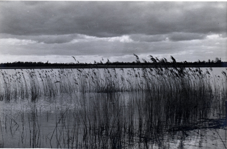Les Dombes - 1939