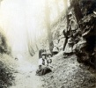 1906: Genevive, Paule, Franois; Andr, Toinon, Jeanne; autres