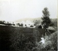 ?, 1907: Genevive