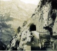 ?, 1908: Genevive, X, la Zedel
