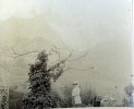 ?, 1910: Genevive