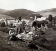 ?, 1912: X, Andr, Y