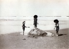 Mimizan, 1913: Yvonne, Jacques, Henri
