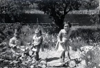 Mas St Sauveur, mai 1953