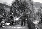 Lus la Croix Haute, 12 juillet 1953 : Rmi, Franoise, tienne, Florence, Genevive, Michel