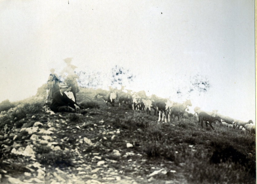 Au sommet de Cousson, 1904