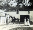 1896: Joseph, X, Genevive, Marie-Thrse