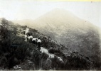 Monte  Cousson, 1904