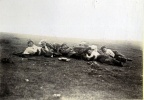 Au sommet de Cousson, 1904