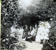 Digne, 1904: mariage de Louis et Genevive