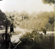 Sur la Cte d'azur, 1904: Genevive