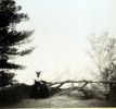 Chteau de Nice, 1904: Genevive