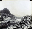 ?, 1905: Genevive