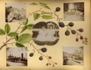 Page-43
