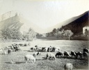 Digne, 1906: Rocher de neuf heures
