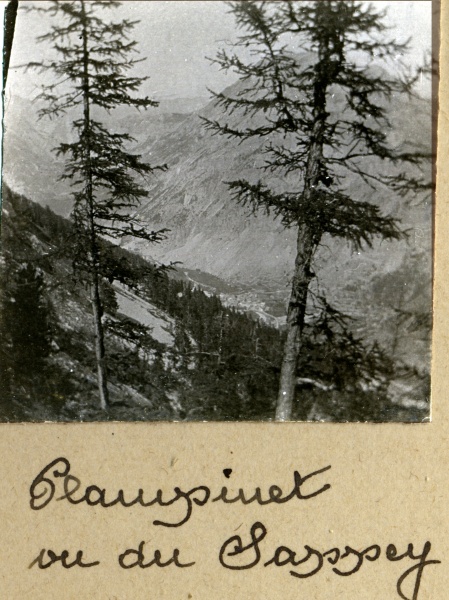 Plampinet vu du Sappey, 1914