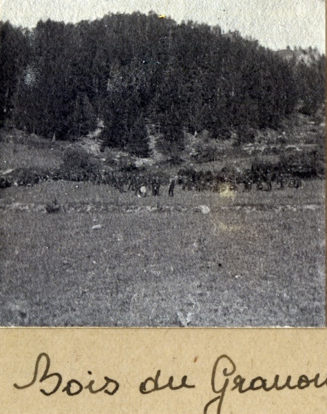 Bois du Granon, 1914