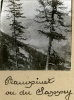 Plampinet vu du Sappey, 1914