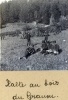 Bois du Granon, 1914: halte