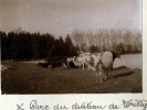 Wrilly, 1916: parc du chteau
