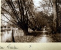 Bords de la Vesle, 1916