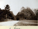 Sillery, mai 1916: parc du chteau