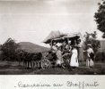 Excursion au Chaffaut, 1917: Sybille du Chaffaut, Toinon, Mme du Chaffaut; Genevive, Henri, Pierre, Jeanne