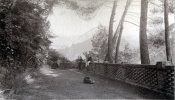 Digne tessasse de l'vch, septembre 1918: Louis, Franois, X