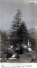Chemin du lac d'Allos, 5 septembre 1919: lisabeth, X, Germaine, Genevive, Paule, Jeanne