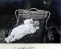 Ville d'Avray, 16 octobre 1920: Paul Mugel