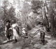 Digne, aot 1922: Yvonne, Genevive, Michel, Pierre; Henri au fond